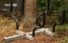 [ATV logging trailer frame extension Picture # 1]